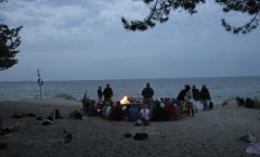 strandeld