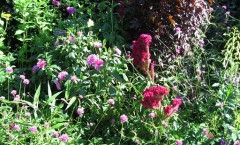 blomsterprakt
